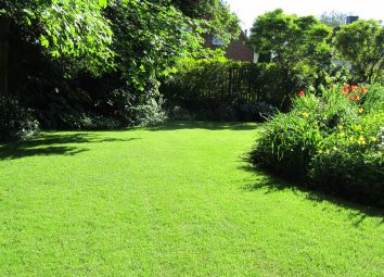 Der Rasen – eine grüne Augenweide einst und jetzt - nachgeharkt