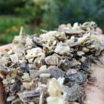 Hornspäne und Hornmehl – die natürlichen Dünger