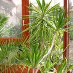 Planung eines Wintergartens
