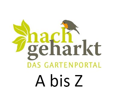 Read more about the article nachgeharkt von A bis Z